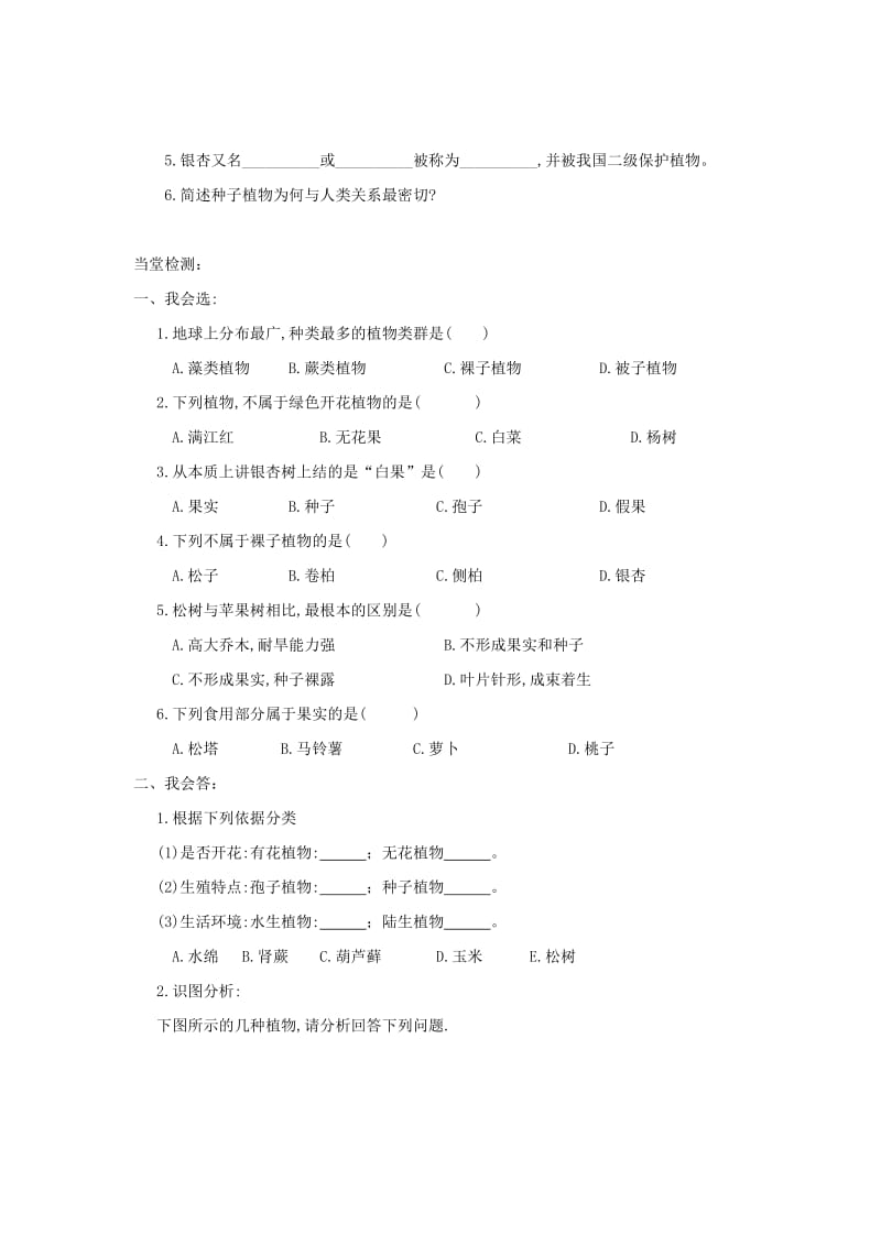 七年级生物上册 2.1.1《绿色植物的主要类群》第二课时导学案（新版）济南版.doc_第2页