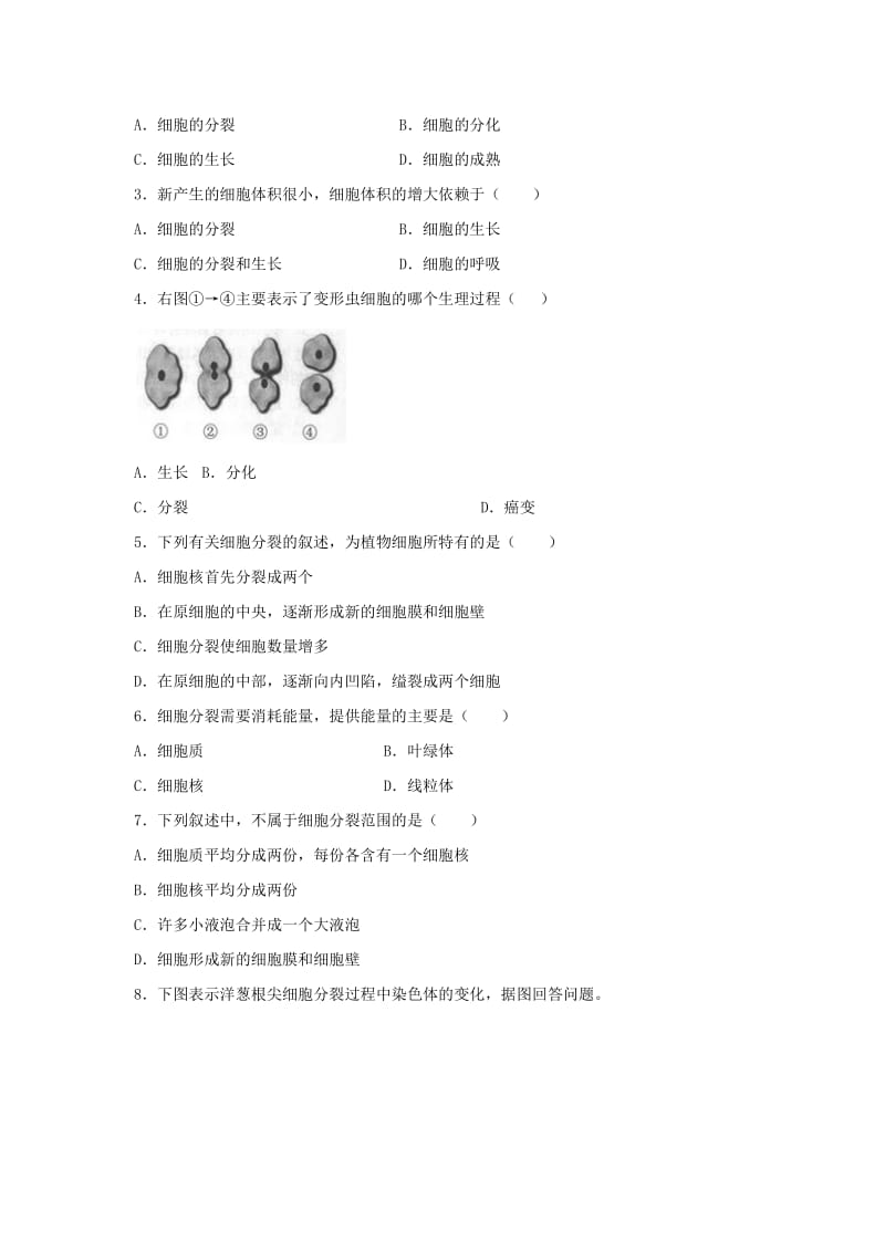 七年级生物上册 2.2.1《细胞通过分裂产生新细胞》练习1 （新版）新人教版.doc_第3页