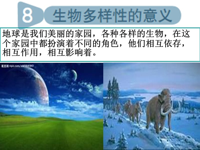 教科版科学六年级上册《生物多样性的意义》.ppt_第1页