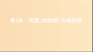 （新高考地區(qū)專用版）山東省2020版高考生物新攻略大一輪復(fù)習(xí) 第2單元 細(xì)胞的基本結(jié)構(gòu)和物質(zhì)的運(yùn)輸 第4講 質(zhì)膜（細(xì)胞膜）與細(xì)胞核課件.ppt