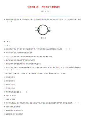 2019年中考生物 專項復(fù)習(xí)訓(xùn)練04 神經(jīng)調(diào)節(jié)與激素調(diào)節(jié) 新人教版.doc