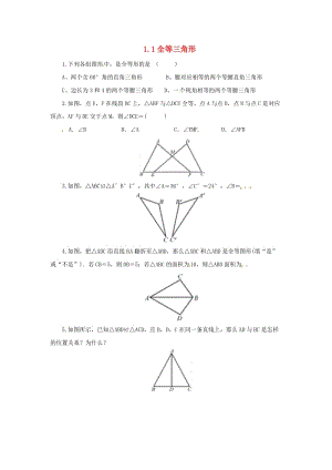 2019年秋八年級數(shù)學(xué)上冊 第1章 全等三角形 1.1 全等三角形隨堂檢測 （新版）蘇科版.doc