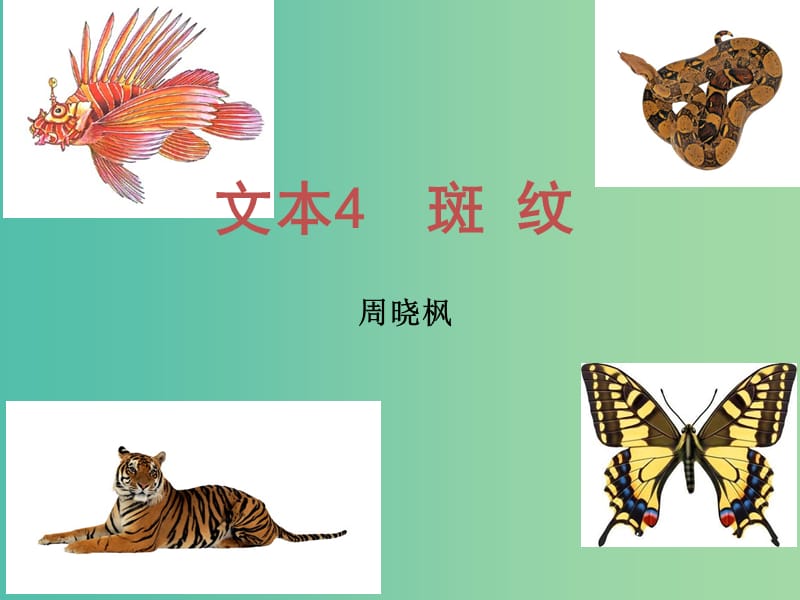 （江蘇專用）2018-2019學(xué)年高中語(yǔ)文 專題1 文本4 斑紋2課件 蘇教版必修5.ppt_第1頁(yè)