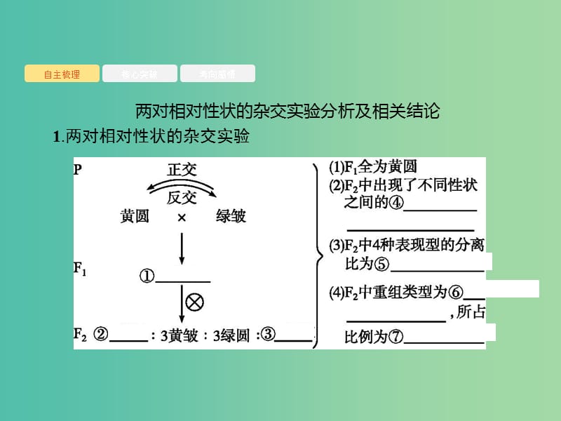 2020版高考生物一轮复习 5.2 基因的自由组合定律课件 苏教版必修2.ppt_第2页