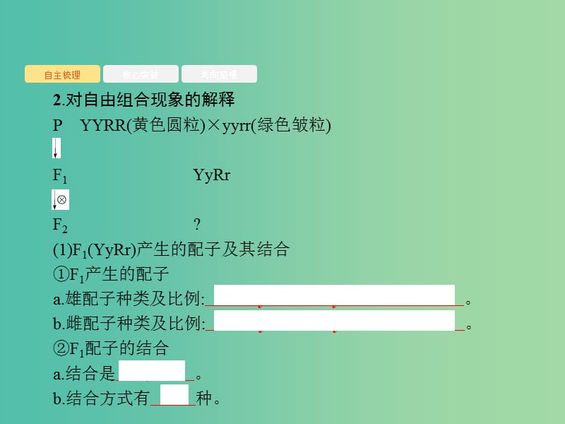 2020版高考生物一轮复习 5.2 基因的自由组合定律课件 苏教版必修2.ppt_第3页