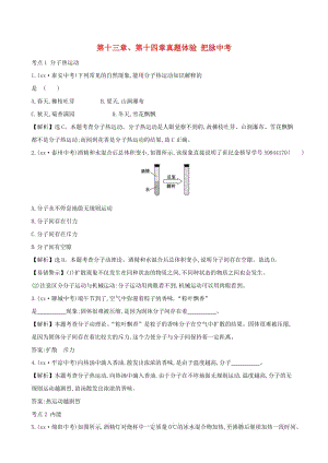 中考物理 第十三章、第十四章真題體驗(yàn) 把脈中考.doc