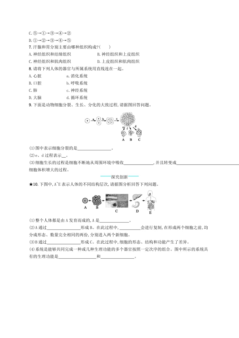 七年级生物上册2.2.2动物体的结构层次课后习题 新人教版.doc_第2页