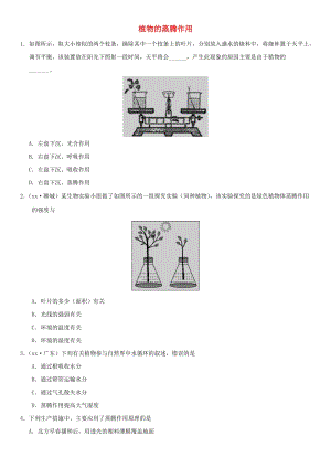 2019屆中考生物 專題匯編 植物的蒸騰作用.doc