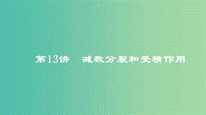 2019高考生物一輪復(fù)習(xí) 第13講 減數(shù)分裂和受精作用課件.ppt