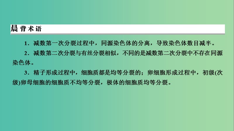 2019高考生物大一轮复习 第4单元 细胞的生命历程 第2讲 减数分裂和受精作用课件 新人教版必修1.ppt_第3页