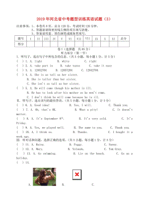 河北省2019年中考英語題型訓(xùn)練試題（3）.doc