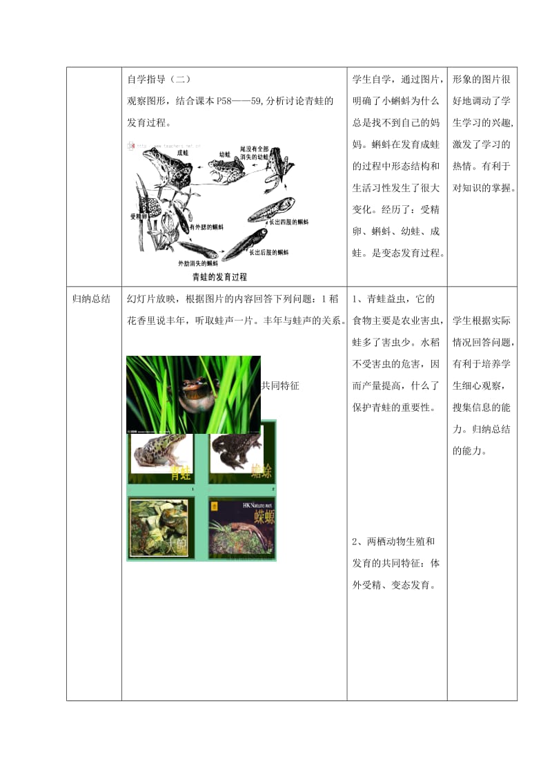八年级生物上册 4.2.2《两栖动物的生殖和发育》教案1（新版）济南版.doc_第3页