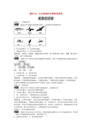 2019年中考生物總復(fù)習(xí) 主題七 生物的多樣性 課時(shí)20 認(rèn)識和保護(hù)生物的多樣性.doc