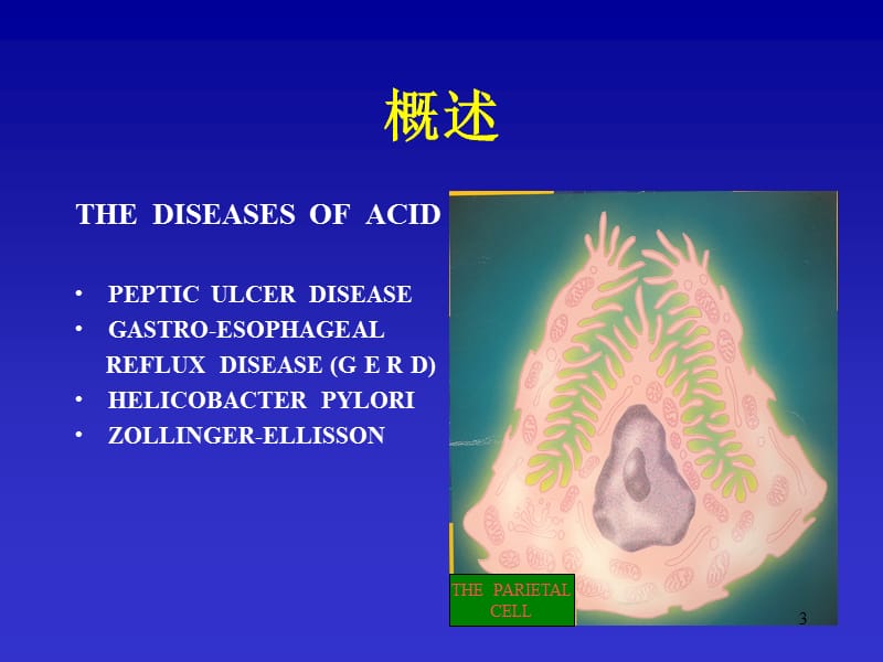 PPI质子泵抑制剂ppt课件_第3页