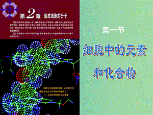 高中生物 第二章 第一节 细胞中的元素和化合物课件 新人教版必修1.ppt
