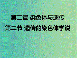 2019高中生物 第二章 染色體與遺傳 2.2 遺傳的染色體學(xué)說(shuō)課件 浙科版必修2.ppt