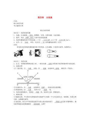 2019中考物理一輪復習 第四章 光現(xiàn)象（核心知識歸納+考點題型分類）.doc