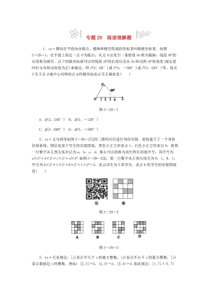 2019年中考數(shù)學專題復習小練習 專題29 閱讀理解題.doc