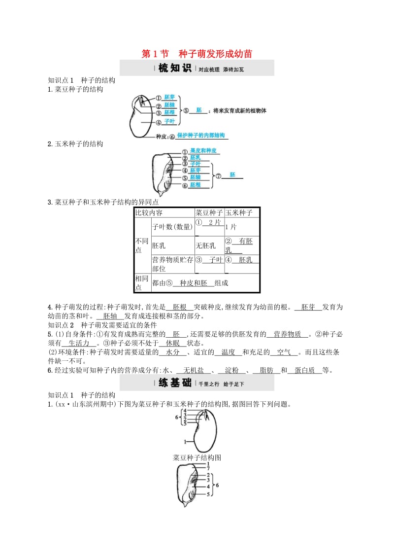 七年级生物上册 6.1 种子萌发形成幼苗练习 （新版）北师大版.doc_第1页