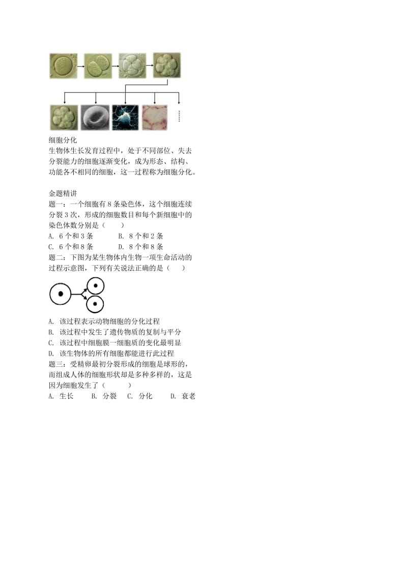 江苏省大丰市七年级生物上册 第7讲 细胞分裂和分化讲义 苏教版.doc_第2页