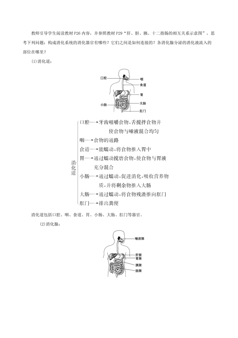 2019版七年级生物下册 第四单元 生物圈中的人 第二章 人体的营养 2 消化和吸收教案 新人教版.doc_第2页