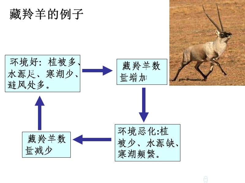 湘教版第二节自然地理要环境的整体性.ppt_第1页