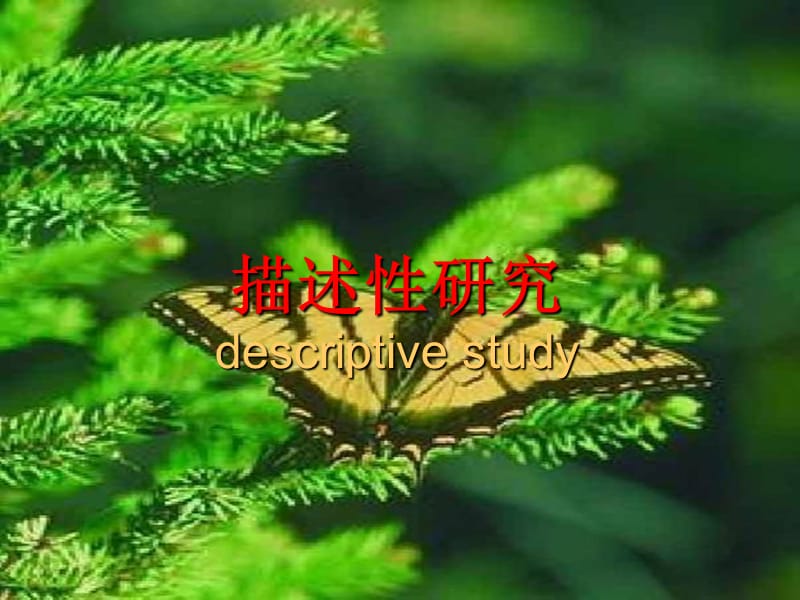 描述性研究descriptivestudy.ppt_第1页