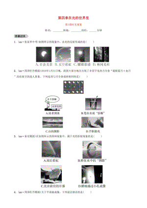 2019中考物理一輪復習 03 在光的世界里 第1課時 光現(xiàn)象試題.doc