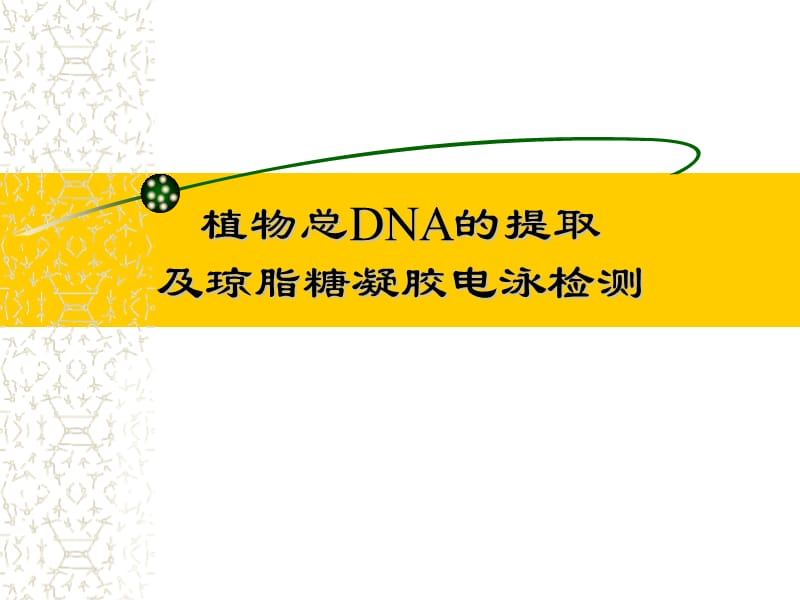 植物总DNA提取及琼脂糖凝胶电泳检测.ppt_第1页
