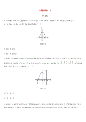 廣西柳州市2019年中考數(shù)學(xué) 專(zhuān)題訓(xùn)練02 多結(jié)論題.doc