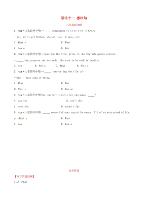 山東省濱州市2019年中考英語語法專項復(fù)習(xí) 語法十二 感嘆句八年真題回顧.doc