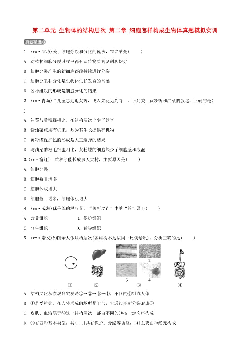 山东省滨州市中考生物总复习 第二单元 生物体的结构层次 第二章 细胞怎样构成生物体真题模拟实训.doc_第1页