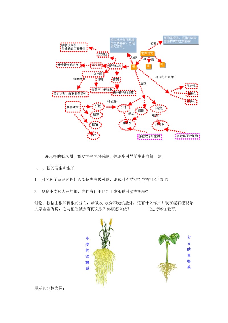 七年级生物上册 第3单元 第6章 第2节 营养器官的生长教案 （新版）北师大版.doc_第2页