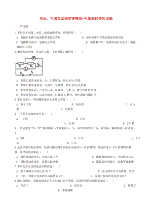 2018-2019學年中考物理 電壓、電阻及歐姆定律模塊 電壓表的使用訓練（含解析） 滬科版.doc