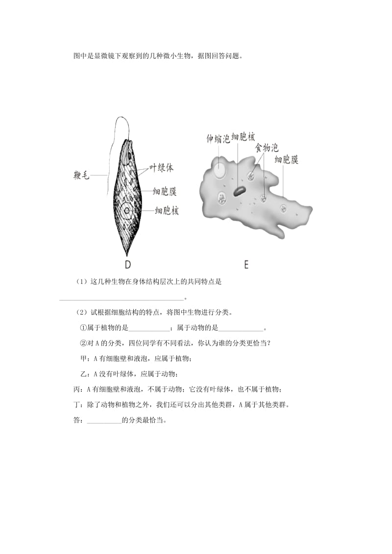 七年级生物上册 2.2.4《单细胞生物》同步练习1 （新版）新人教版.doc_第2页