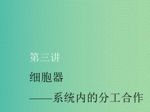 （新課改省份專用）2020版高考生物一輪復(fù)習(xí) 第二單元 第三講 細(xì)胞器——系統(tǒng)內(nèi)的分工合作課件.ppt