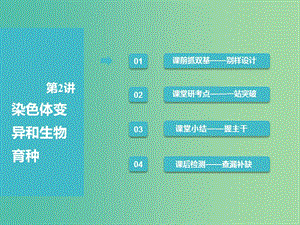 （全國(guó)通用版）2019版高考生物一輪復(fù)習(xí) 第2部分 遺傳與進(jìn)化 第三單元 生物的變異、育種與進(jìn)化 第2講 染色體變異和生物育種課件.ppt