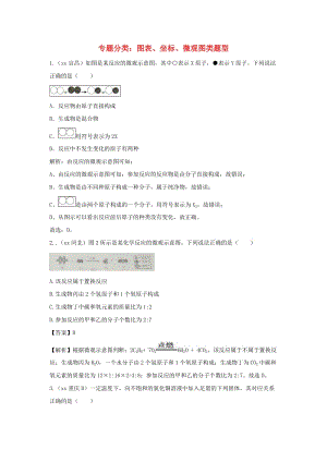 中考化學(xué)真題分類匯編 專題分類 圖表、坐標(biāo)、微觀圖類題型（含解析）.doc