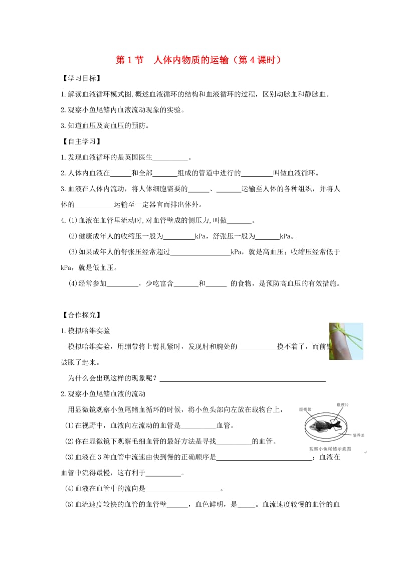 八年级生物上册 6.15.1《人体内物质的运输》第4课时导学案（新版）苏科版.doc_第1页