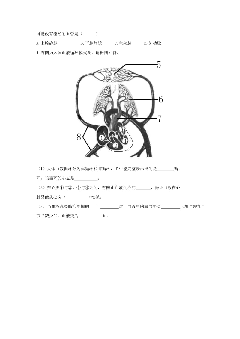 八年级生物上册 6.15.1《人体内物质的运输》第4课时导学案（新版）苏科版.doc_第3页