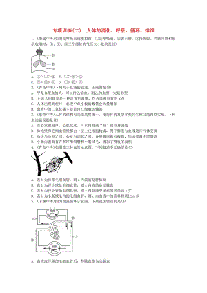 2019年中考生物總復(fù)習(xí) 主題四 生物圈中的人 專(zhuān)項(xiàng)訓(xùn)練(二)人體的消化 呼吸 循環(huán) 排泄.doc