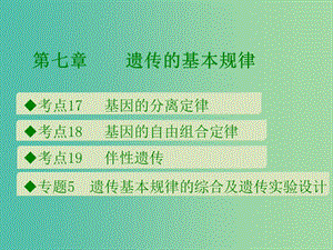 600分考點 700分考法（A版）2019版高考生物總復習 第七章 遺傳的基本規(guī)律課件.ppt