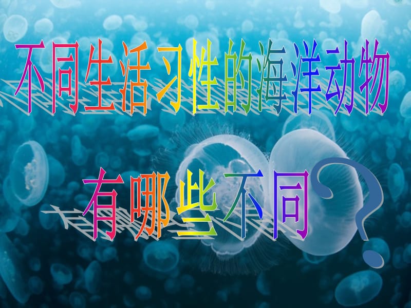 海洋动物不同海洋生物的不同生活习性.ppt_第1页