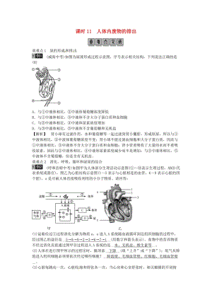 2019年中考生物總復(fù)習(xí) 主題四 生物圈中的人 課時(shí)11 人體內(nèi)廢物的排出.doc