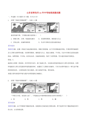 山東省青島市中考地理真題試題（含解析）.doc