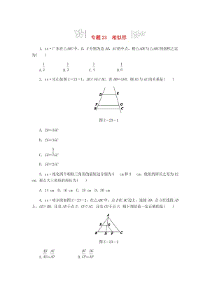 2019年中考數(shù)學專題復習小練習 專題23 相似形.doc