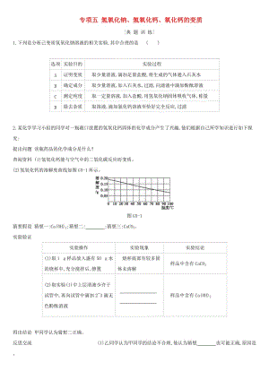 河北省2019年中考化學(xué)復(fù)習(xí) 主題一 身邊的化學(xué)物質(zhì) 專項(xiàng)（五）氫氧化鈉、氫氧化鈣、氧化鈣的變質(zhì)練習(xí).doc