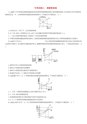 2019屆中考化學(xué)畢業(yè)總復(fù)習(xí) 第2編 重點(diǎn)專題突破篇 專項(xiàng)訓(xùn)練3 溶解度曲線檢測(cè).doc