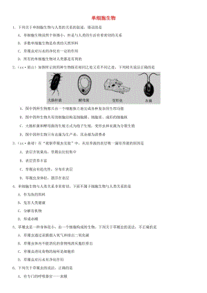 2019屆中考生物 專題匯編 單細(xì)胞生物.doc