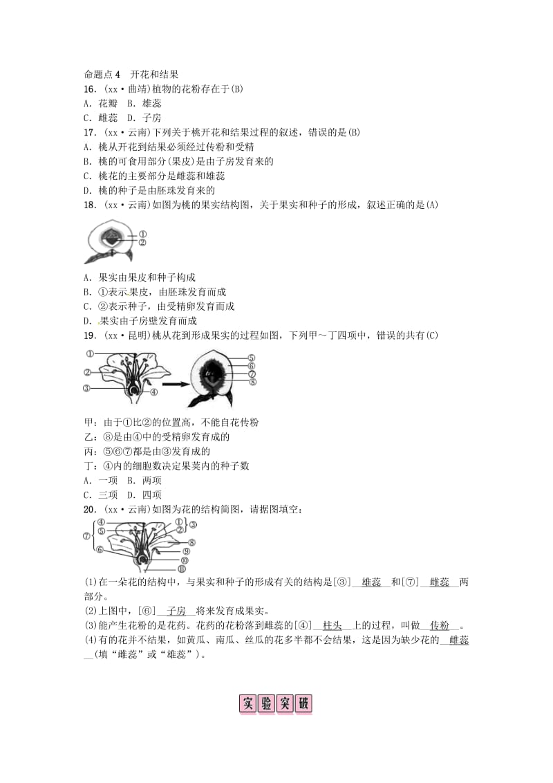 云南专版2019届中考生物教材考点梳理第5课时被子植物的一生.doc_第3页